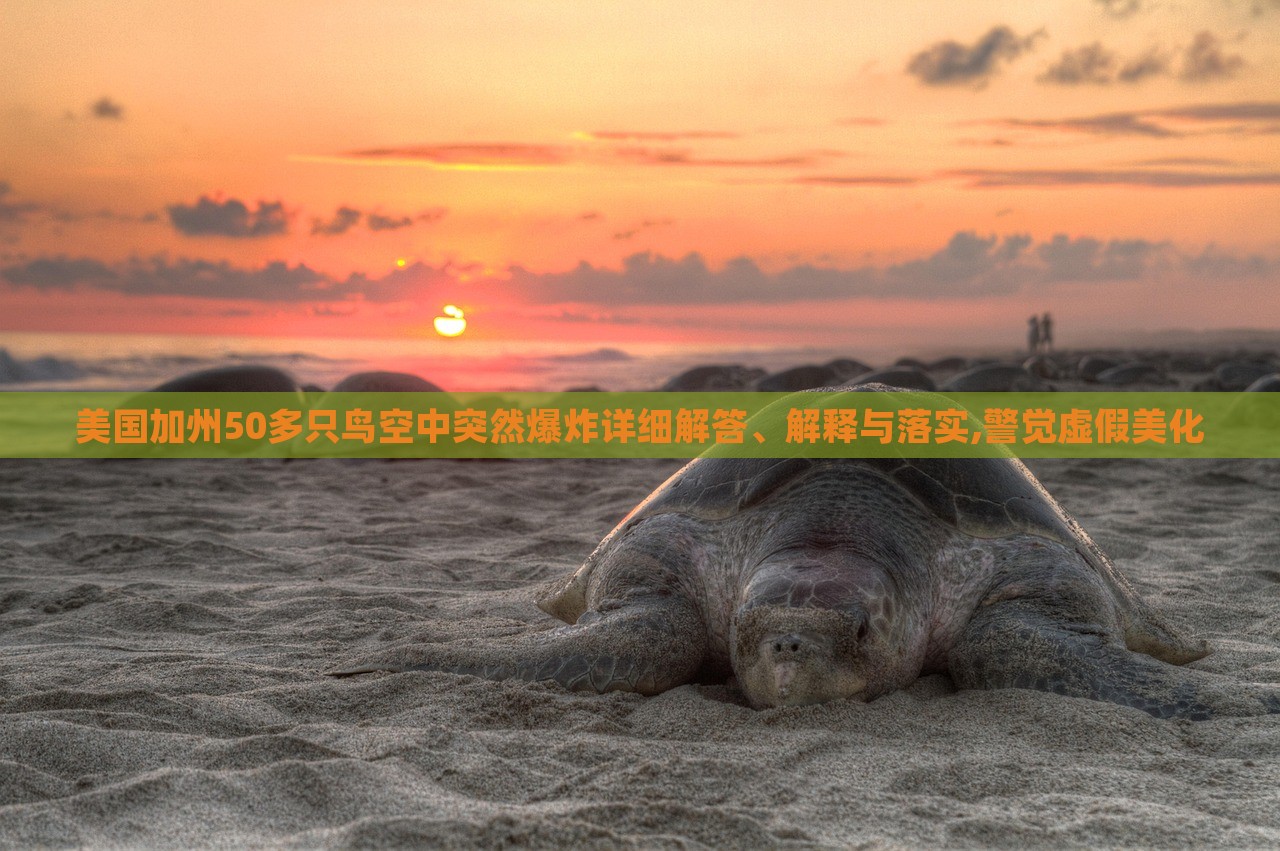 美國加州50多只鳥空中突然爆炸詳細(xì)解答、解釋與落實(shí),警覺虛假美化