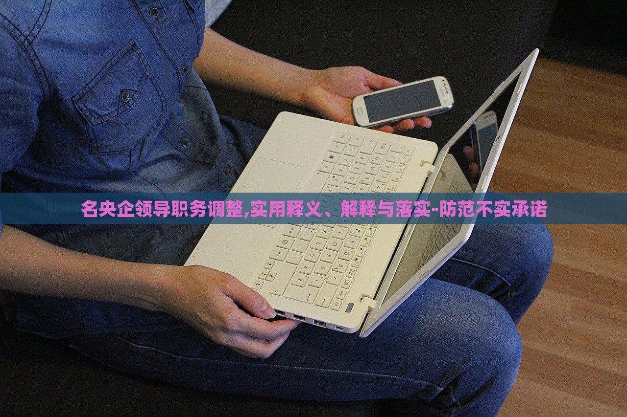 名央企領(lǐng)導(dǎo)職務(wù)調(diào)整,實(shí)用釋義、解釋與落實(shí)-防范不實(shí)承諾