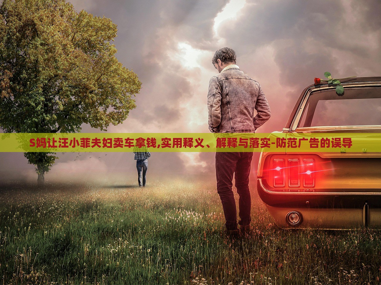 S媽讓汪小菲夫婦賣車拿錢,實用釋義、解釋與落實-防范廣告的誤導