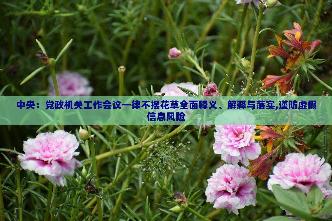 中央：黨政機關工作會議一律不擺花草全面釋義、解釋與落實,謹防虛假信息風險