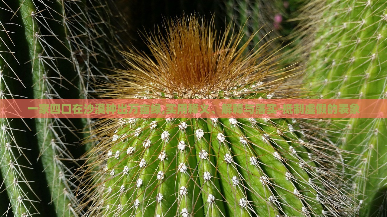 一家四口在沙漠種出萬畝綠,實用釋義、解釋與落實-抵制虛假的表象