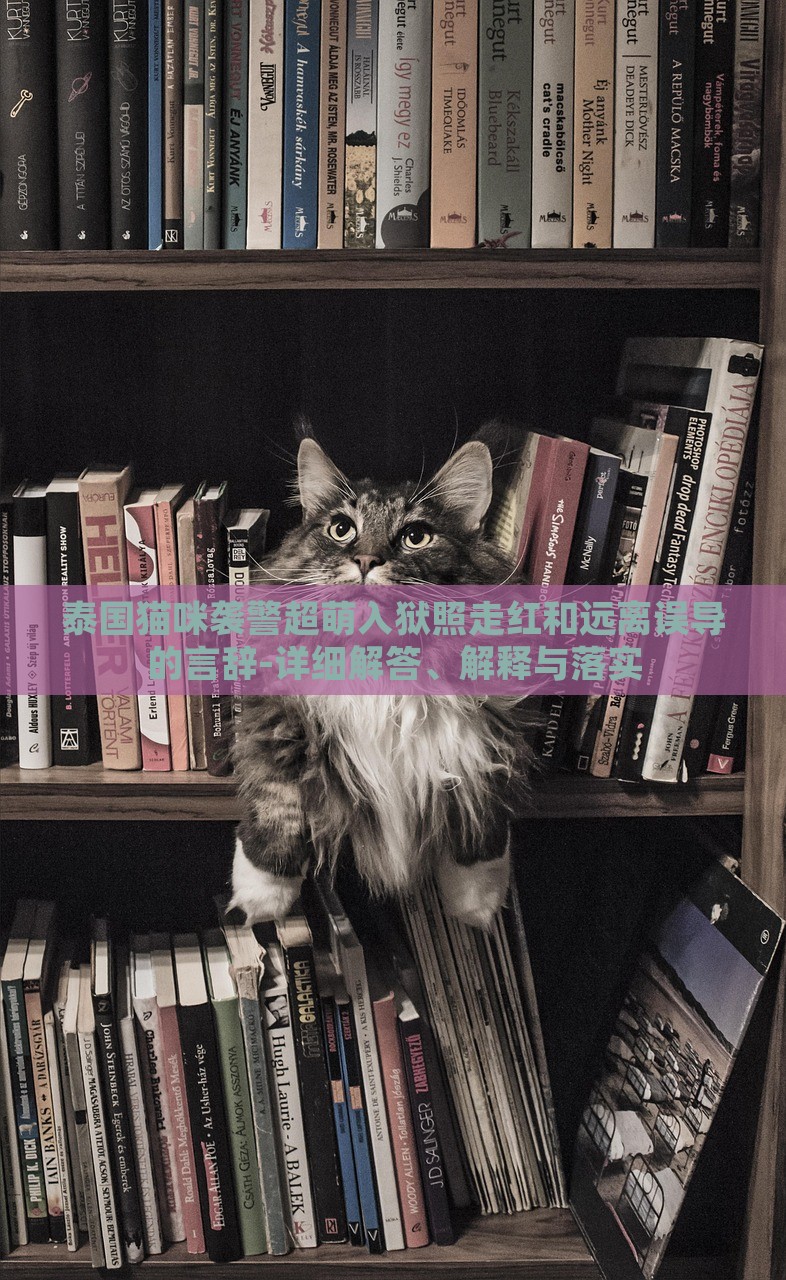 泰國(guó)貓咪襲警超萌入獄照走紅和遠(yuǎn)離誤導(dǎo)的言辭-詳細(xì)解答、解釋與落實(shí)